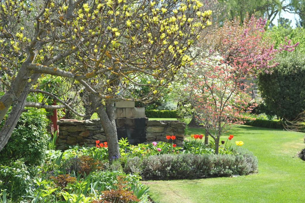 Alexandra Garden Court Motel Extérieur photo