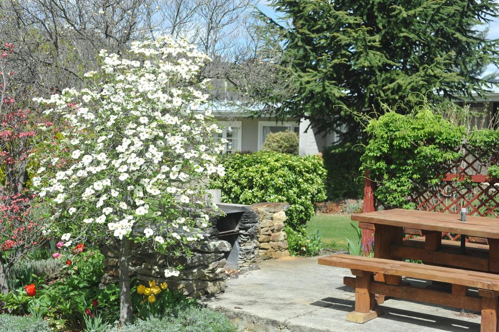 Alexandra Garden Court Motel Extérieur photo